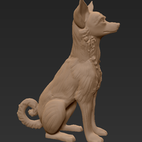 Basenji dog sitting - Thumbnail 4