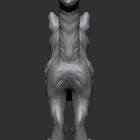 Long-haired cat - Thumbnail 2