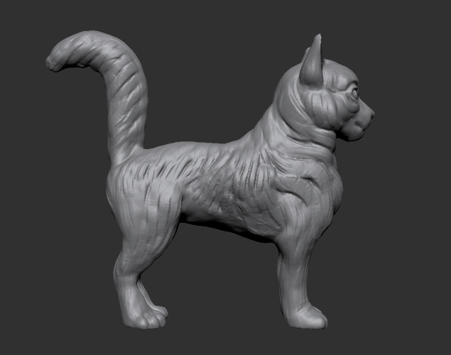 Long-haired cat 3D Print 472982