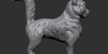 Image 472982
