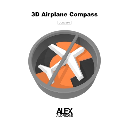 3D Airplane Compass Concept