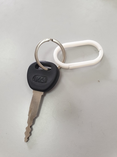 KeyChain 3D Print 473124