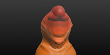 Image 473196
