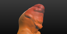 Image 473197