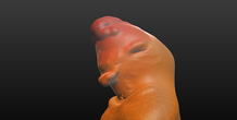 Image 473198