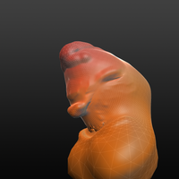 Hen Model - Thumbnail 3