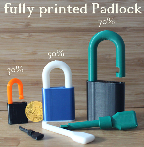 simple Padlock (100% printed) 3D Print 473581
