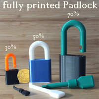 Small simple Padlock (100% printed) 3D Printing 473581
