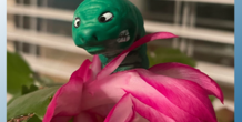 Image 473602