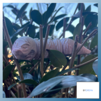 ANGRY CHONKY GARDEN WORM - Thumbnail 5