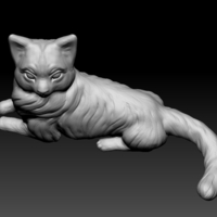 Birman cat lies - Thumbnail 1