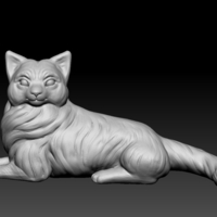 Birman cat lies - Thumbnail 2