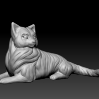 Birman cat lies - Thumbnail 3