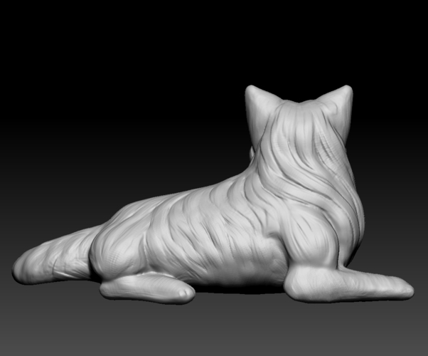 Birman cat lies 3D Print 473876