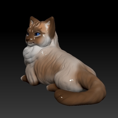 Birman cat lies 3D Print 473880