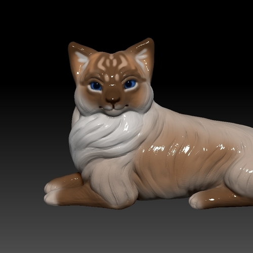 Birman cat lies 3D Print 473881