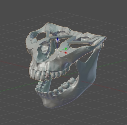 Human jaws 3D Print 473979