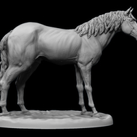 Small Horse Tabletop Figure RPG Miniature 32mm 3D Printing 474019
