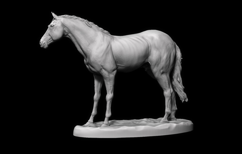 Horse Tabletop Figure RPG Miniature 32mm 3D Print 474020
