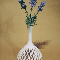 Small Vase 3D Printing 474393