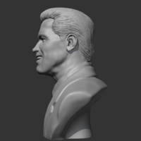 Arnold Schwarzenegger 3D print model - Thumbnail 6