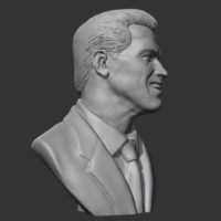 Arnold Schwarzenegger 3D print model - Thumbnail 8