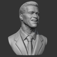 Arnold Schwarzenegger 3D print model - Thumbnail 9