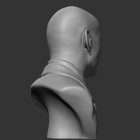 Bruce Willis 3D print model - Thumbnail 8