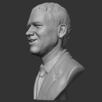 Russell Crowe 3D print model - Thumbnail 6