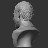 Russell Crowe 3D print model - Thumbnail 7
