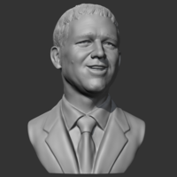 Russell Crowe 3D print model - Thumbnail 10
