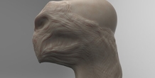Image 47602