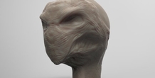 Image 47603