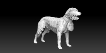 Image 476056