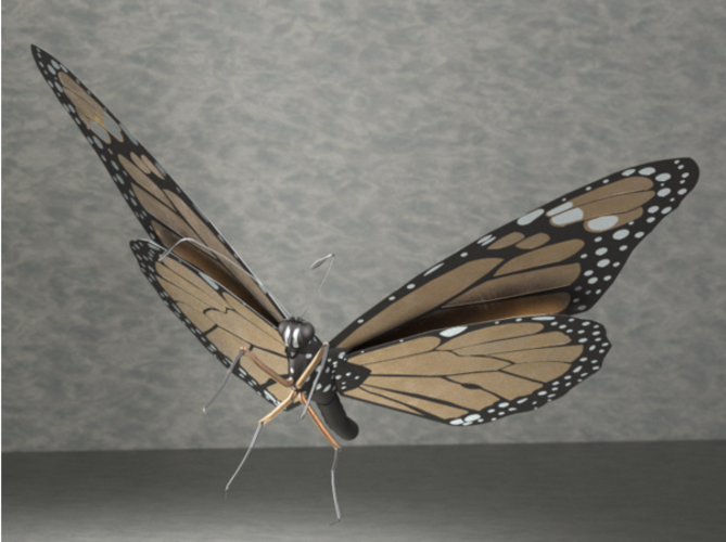 Monarch butterfly 3D Print 476286