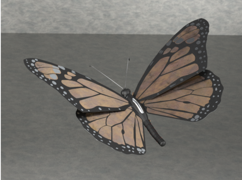 Monarch butterfly