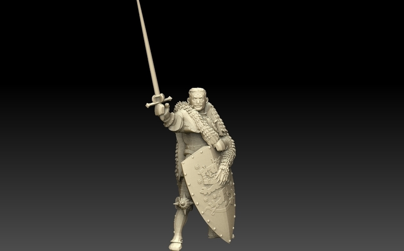 Knight of Finland 3D Print 476414