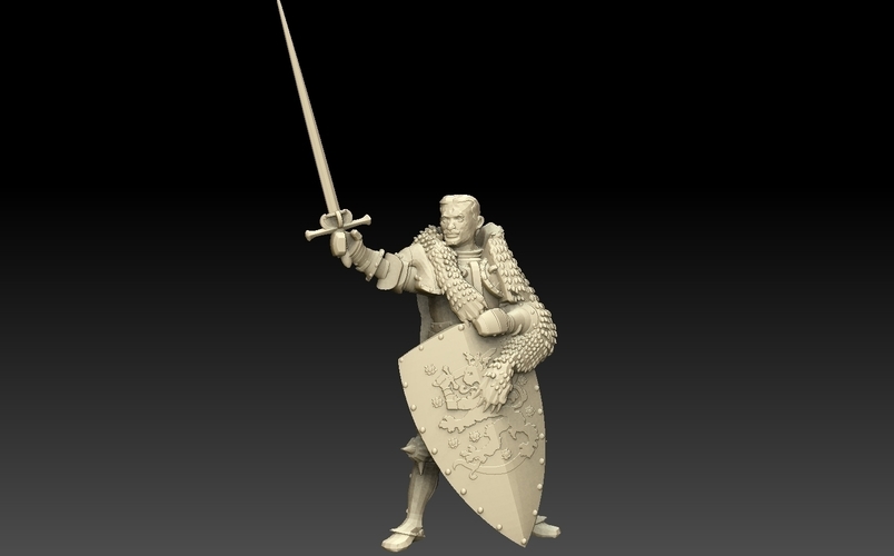 Knight of Finland 3D Print 476415