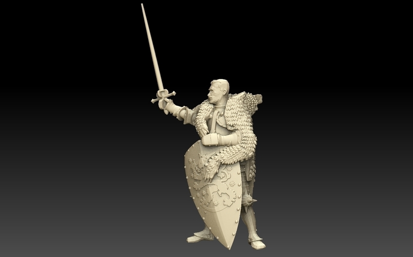 Knight of Finland 3D Print 476416