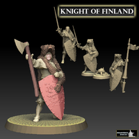 Small Knight of Finland 3D Printing 476424