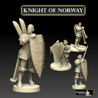 Small Knight of Norway 3D Printing 476470