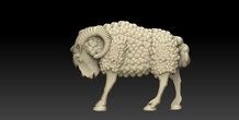 Image 476481