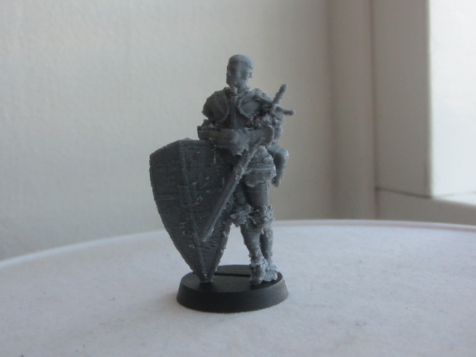 Knight of Sweden 3D Print 476486