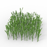 grass - Thumbnail 2