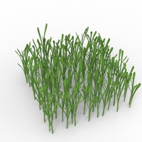 grass - Thumbnail 3