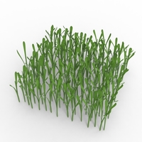 grass - Thumbnail 4