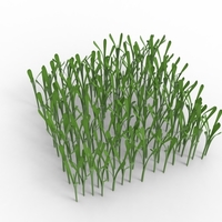 grass - Thumbnail 5