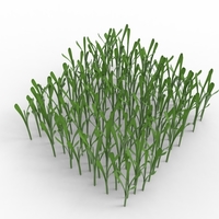 grass - Thumbnail 6