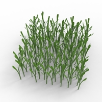 grass - Thumbnail 7