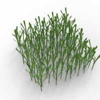 grass - Thumbnail 8
